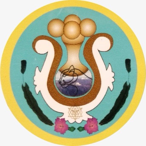 Logo Danza de Luna